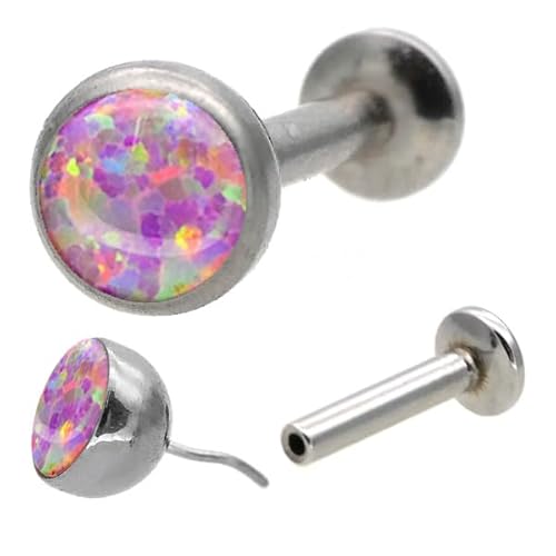 [vbVs] x[ZbgWGVZeBbNIp[ {fBsAX sAX AM[Ή Ўp LSP5