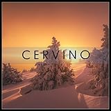 White Spider Records