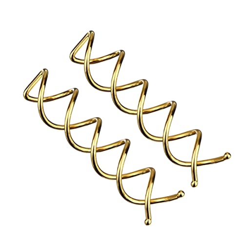 FRCOLOR Metal Spiral Hair Pins - 20pcs Non-Scratch Fairy Screw Hair Spirals for Thick Hair Decoration, Gold and Silver