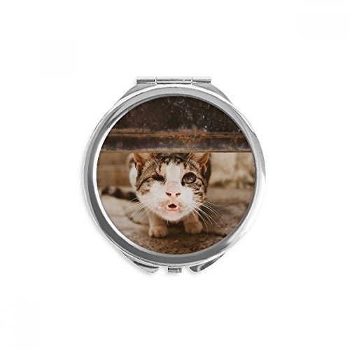 Miroir rond de poche chat drôle portable de 2,6 x 2,4 pouces pour maquillage multicolore