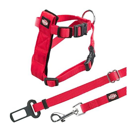 Rot Nylon Sicherheitsgurt für Katzen