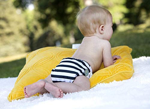 Grovia Reusable All In One Snap Baby Cloth Diaper (Aio) (Opal) #TOP6