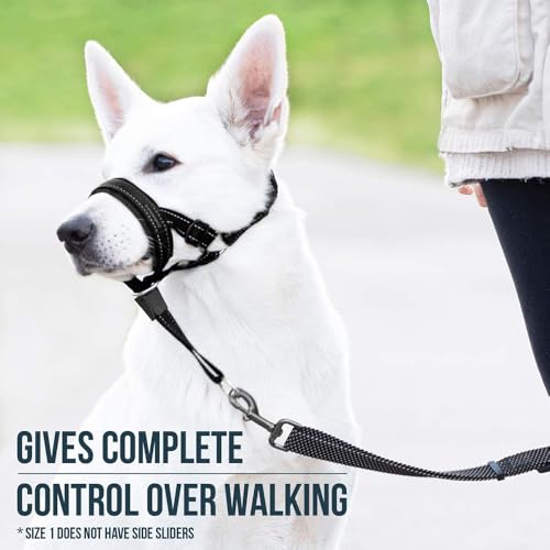 TOEECY HALTI Kopfgeschirr Hundehalfter Halfter Für Hunde Hund an der Leine zieht Anti Zug Hundegeschirr Verstellbar Bequemes Und Robustes Geschirr Für Hunde (L)