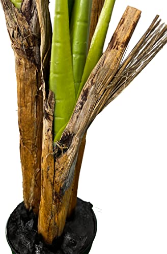 Deluxe Triple Stalk Banana 6' Artificial Plant, Artificial Tree, Cypress & Alabaster #TOP3