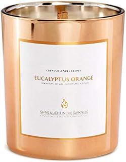 Premium Eucalyptus & Orange Scented Candles, Highly Scented Eucalyptus Candle, All Natural Soy