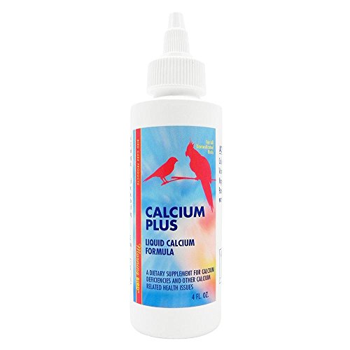 Best Calcium Supplement For Birds