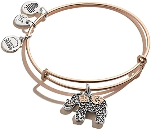 Alex and Ani Path of Symbols Expandable Bangle for Women, Elephant Charm, Two-Tone Finish, 2 to 3.5 in