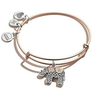 Alex and Ani Path of Symbols Expandable Bangle for Women, Elephant Charm, Two-Tone Finish, 2 to 3.5 in