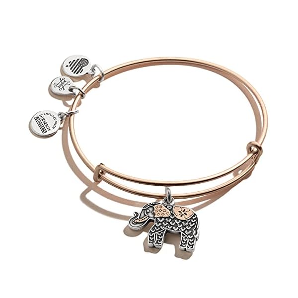 Alex-and-Ani-Path-of-Symbols-Expandable-Bangle-for-Women-Elephant-Charm-Two-Tone-Finish-2-to-35-in Alex and Ani Path of Symbols Expandable Bangle for Women, Elephant Charm, Two-Tone Finish, 2 to 3.5 in