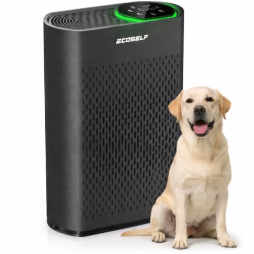 Image of Air Purifier, Large Touch Display Control, Real-Time Air Quality 30 Mins Air Purifiers for Home