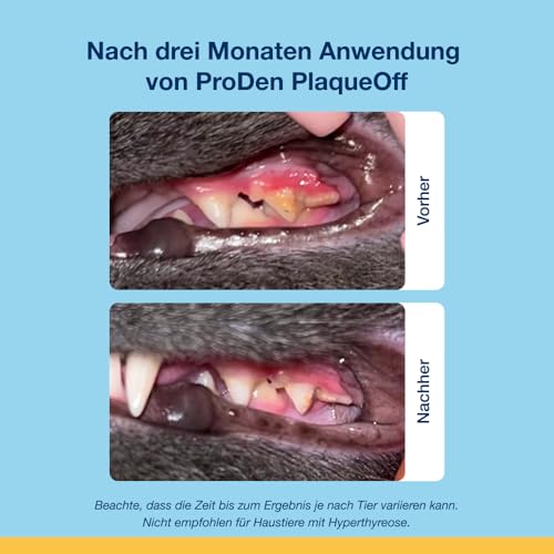 ProDen PlaqueOff Katzen Zahnpflege Snacks, Dose mit 120 Leckerli, natürliche Zahnpflege Katzen, Katzensnacks bei Plaque und für frischen Atem, Leckerli Katze Zahnbelag entferner
