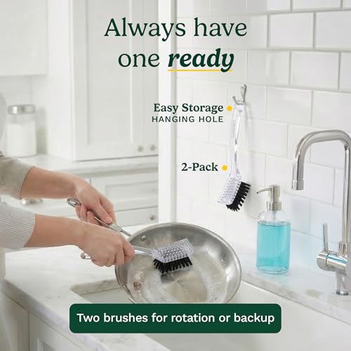 Image of Cuisinart Dish Brush with Handle 2 Pack - Kitchen Scrub Brush for Dishes, Pots & Pans, Non-Scratch Dish Scrubber, Firm Bristles for Sink & Cookware, Comfortable Grip for Everyday Cleaning