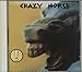 Crazy Horse
