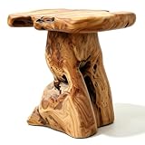 Brefhome 18.9" Tall Cedar Tree Stump Stool, Natural Wood Side Table, Hand-Carved Live Edge End Table, Unique Rustic Plant Stand for Living Room, Patio, Garden