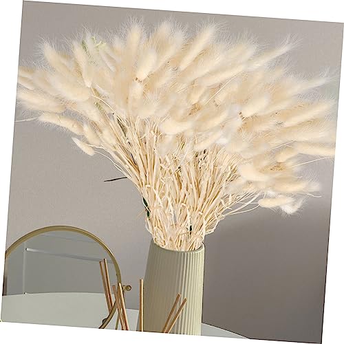 Luxshiny 100 Peças feno de rabo de coelho decoração de casa decoração de prop DIY de grama seca buqu