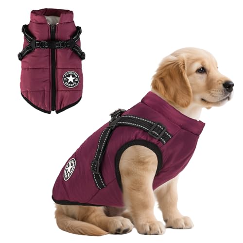 dog winter coats
