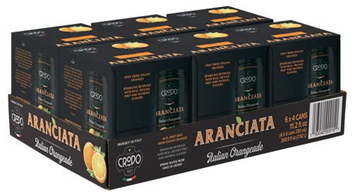 Fonti Di Crodo Aranciata, Italian Sparkling Orangeade, 11.2 Oz. Cans (Pack of 24) - Aranciata - 11.2 Fl Oz (Pack of 24)
