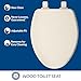 Bemis Ashland Modern Wood Toilet Seat with Decorative Edge, Slow Close, Secure Hinges, Made in USA, Elongated, Biscuit