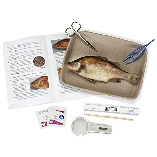 Carolina's Young Scientist™ Perch Dissection Kit