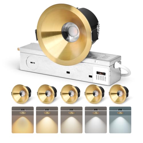 CycevSun Gold 3 Inch LED Recessed Lights, Anti-Glare COB Spotlight, 6 Pack