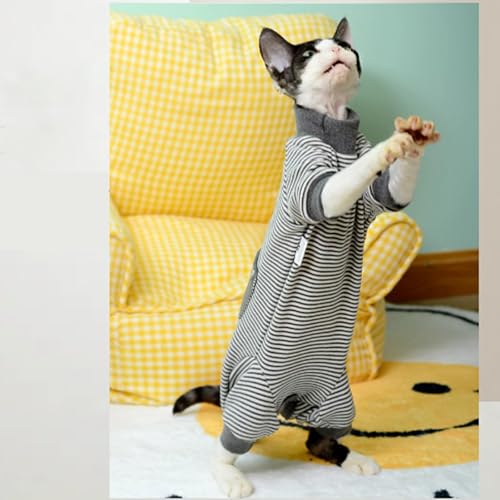 Pull sans poils pour chat Sphynx : vêtements d'hiver rayés à col roulé