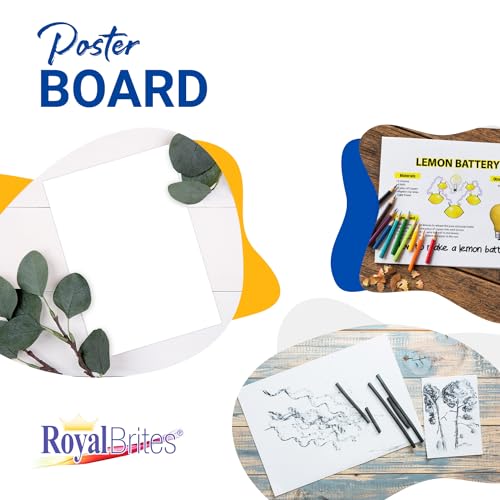 White Poster Board, Premium 2-Sided 22x28 for School Projects, Arts & Crafts, Water & Fade Resistant Posterboard for Signs & Presentations, Large Posterboard 22x28”, 100 Count by Royal Brites - Used condition - US$31.81