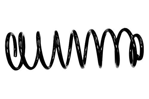 APDTY 109035 Front Coil Spring Set Replaces Springs Tagged With GF, ZVF, ZGF