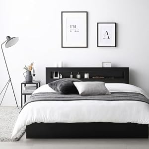 RASIK ベッド ダブル ボンネルコイルマットレス付き ブラック 収納付き ベット 照明 コンセント お客様組立 Rizon ライゾン