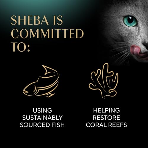 Sheba Perfect Portions Bistro Adult Wet Cat Food, Chicken in Alfredo Sauce Entree, 2.6 oz. Twin-Pack Trays (24 Count, 48 Servings)