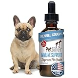 PetSilver Immune Support - Promotes Respiratory Health in Cats & Dogs, Sinus & Kennel Cough Treatment, Natural Antibiotic, Allergy Relief, Chelated Silver Formula, Easy-to-Use Dropper, USA - 2 fl oz