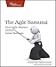 The Agile Samurai: How Agile Masters Deliver Great Software (Pragmatic Programmers)