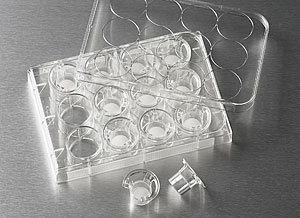 Corning Transwell 3402 Polycarbonate Sterile Tissue Culture Treated Membrane Insert, 12mm Membrane Diameter, 3µm Pore Size (Case of 48)