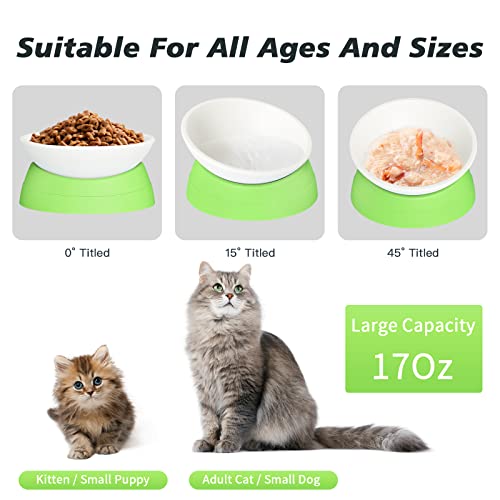 Hi, Ravitat Cat Bowls Elevated Cat Food Bowl Adjustable Cat Dish Anti-Slip And Anti-Noise Raised Cat Bowl Protecting Pet’s Spine Thickened Plastic Bowl Suitable For Indoor Cats, 17 Oz #TOP2