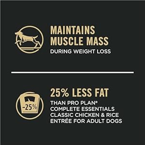   Purina-Pro-Plan-Weight-Management-Dog-Food-Beef-and-Rice-Entree-in-Gravy-Pack-of-12-13-oz-Cans