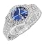 Platinum Watch Only