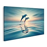 islandburner Bild auf Leinwand Delfine Im Sonnenuntergang 