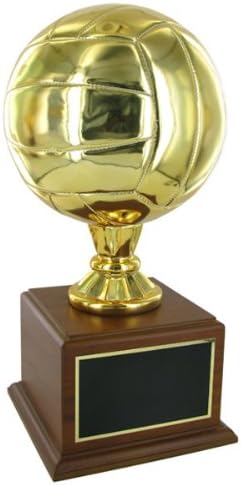 SHOP AWARDS AND GIFTS Customizable Championship Gold Volleyball Trophy, Includes Personalization