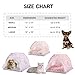 Selena Cat Bed Dog House Tent Bow Lace Mesh Breathable Windows Unicorn Pony Butterfly Cartoon Curtains Indoor Outdoor Removable Portable Pet Teepe (Medium,Pink Pony)