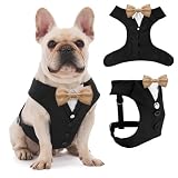 AVERYDAY Dog Tuxedo for Wedding Outfit, Dog Suit and Tie Costumes for Birthday, Halloween, Cosplay, Christmas Party, Pet Formal Wear with Bowtie, Tux for Medium Large Dogs, Bulldog, Labrador, Husky