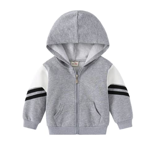 Toddler Kids Boys Casual Fleece Warm Thick Zipper Sweatshirt Fashion Fall Winter Block Color Hooded Pockets Jacket Coat Top (Gray,100/2-3 Y,Unisex,Big Kid,US,Age,2 Years,3 Years)