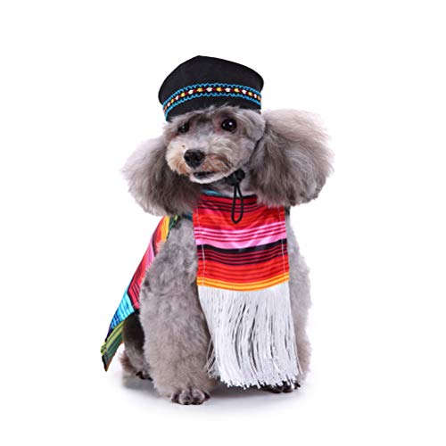 dog poncho mexican