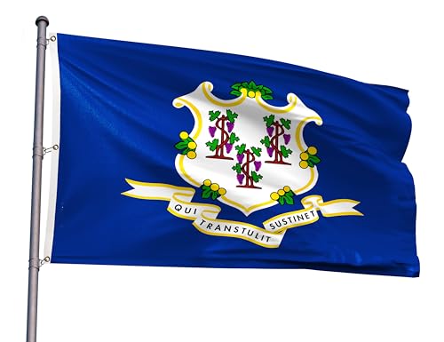 Connecticut State Extra Large Flag 6x10FT CT Giant Flag Polyester Vivid Color With 3 Brass Grommets For Connecticut Themed Festival Events Party Decoration Indoor Outdoor(CT, 6x10ft)