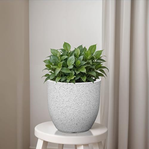 Image of YUCCABE ITALIA FOXB PCUP 10 INCH Pots for Plants Highly Durable Polymers Lightweight Indoor Outdoor Flower Pot Gamla Tree Planter Container Planters for Living Room, Balcony, Garden, Office