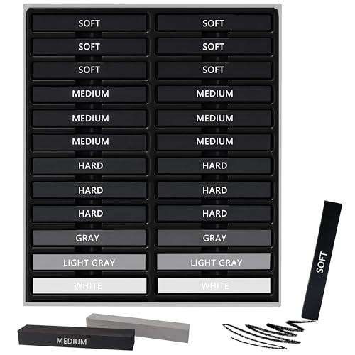 Dlicoda DL-ZL-D015 24 Pcs Compressed Charcoal Sticks cover