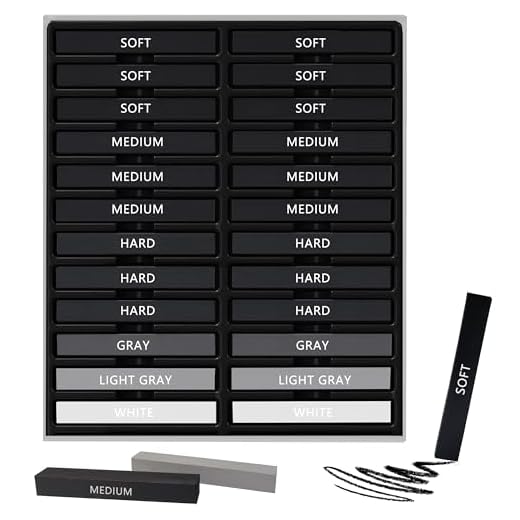 Dlicoda 24 Pcs Compressed Charcoal Sticks with Soft, Medium, Hard and White Charcoal, Square Vine Charcoal Stick Kit for Drawing, Sketching and Shading, Art Supplies for Artists Beginners