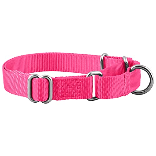 Native Pup Martingale Dog Collar, Adjustable For Small, Medium, Large Pet And Puppies Accessories, Cute Colors For Male, Female, Boy, Girl, Puppy (Small, Hot Pink) #TOP1