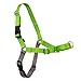 PetSafe Easy Walk Harness,  Small, APPLE GREEN/GREY for Dogs