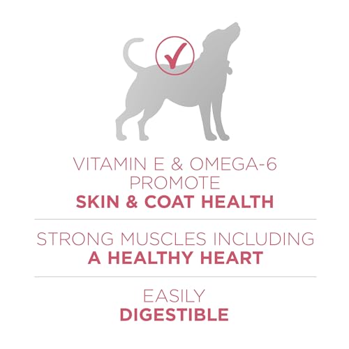 Purina ONE Plus Skin & Coat, Sensitive Stomach Dry Dog Food, 8 lb Bag - image 4