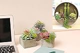 Mingfuxin Artificial Plants for Home Decor Indoor, Wall Hanging Succulents Plants Artificial Decor,