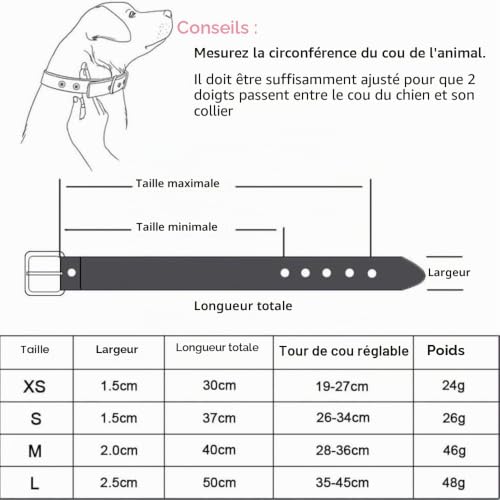 NEUSOP Collier en cuir réglable pour chien et chat, collier pour animaux domestiques M, Jaune, Uni, Unisexe – vue 7